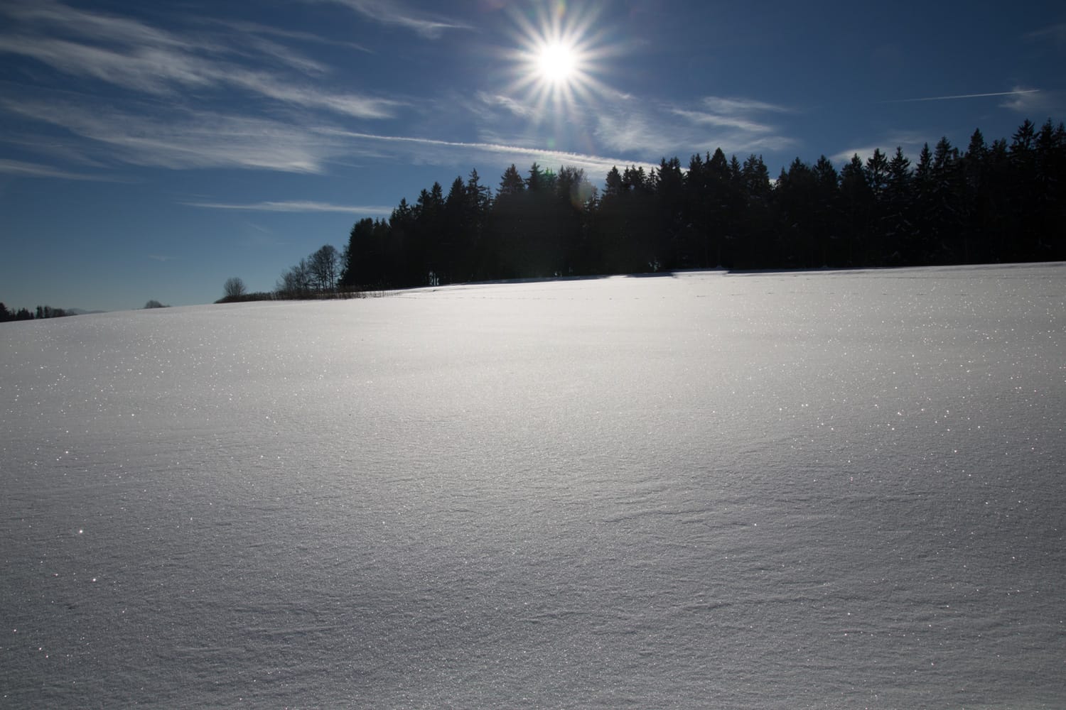 Winterwunderland Januar 2017