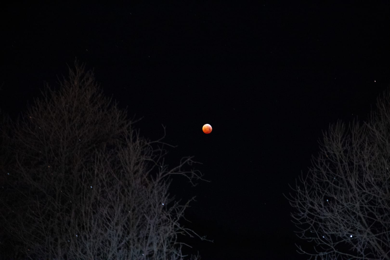 Blutmond 21.01.19