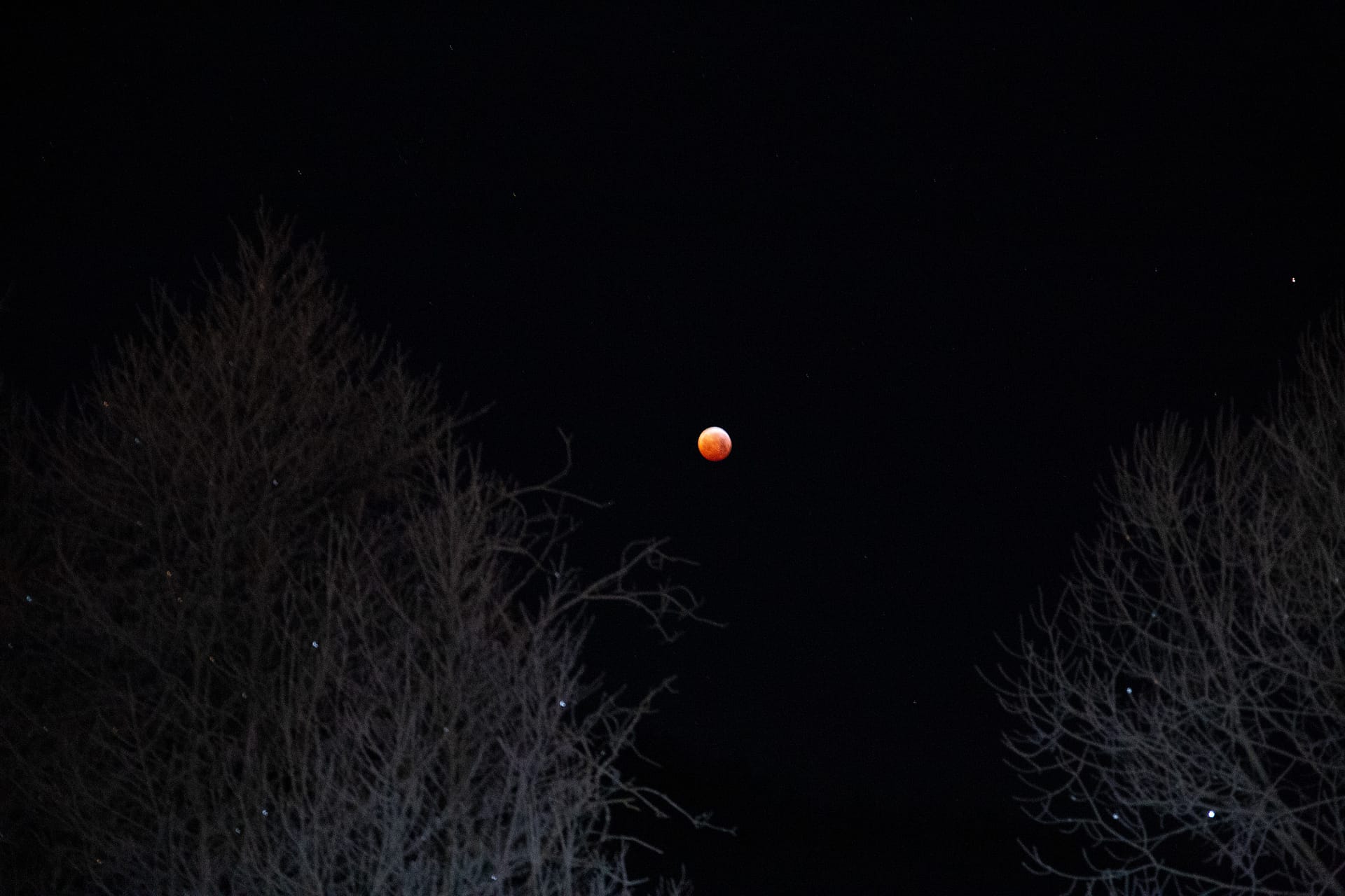 Blutmond 21.01.19